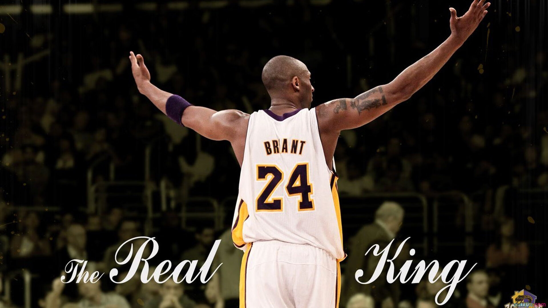 聚焦未来：虚拟现实与增强现实在电竞中的实际应用，虚拟化电子竞技